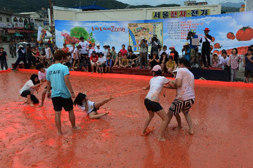 2013년 토마토축제 의 사진