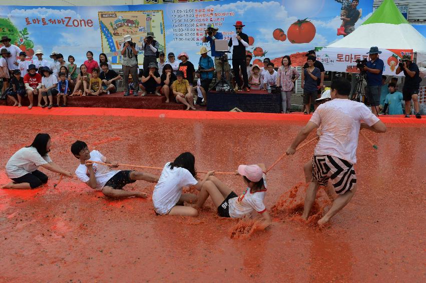 2013년 토마토축제 의 사진