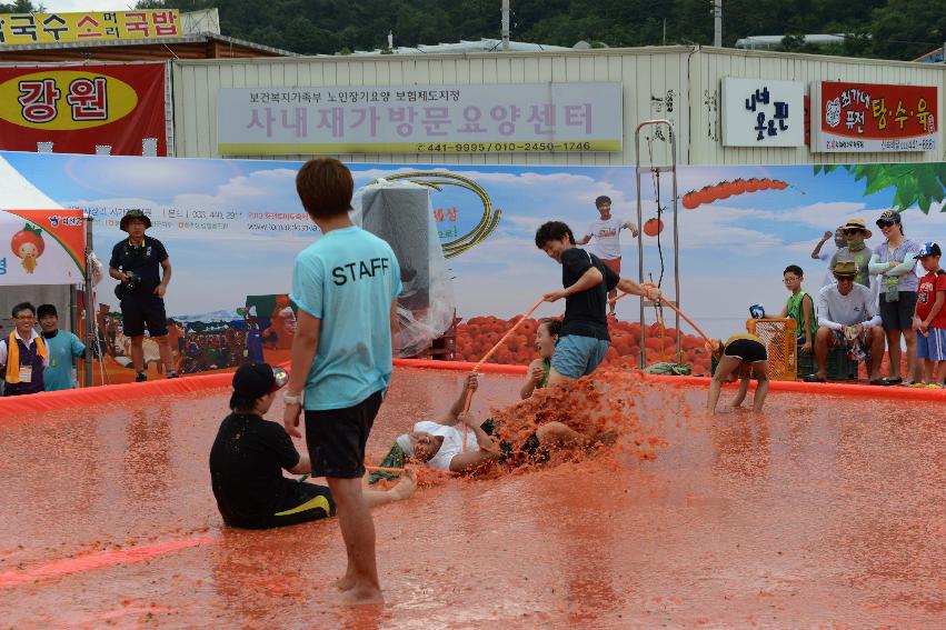 2013년 토마토축제 의 사진