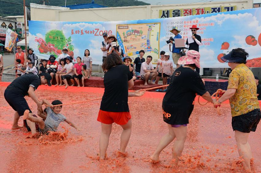 2013년 토마토축제 의 사진