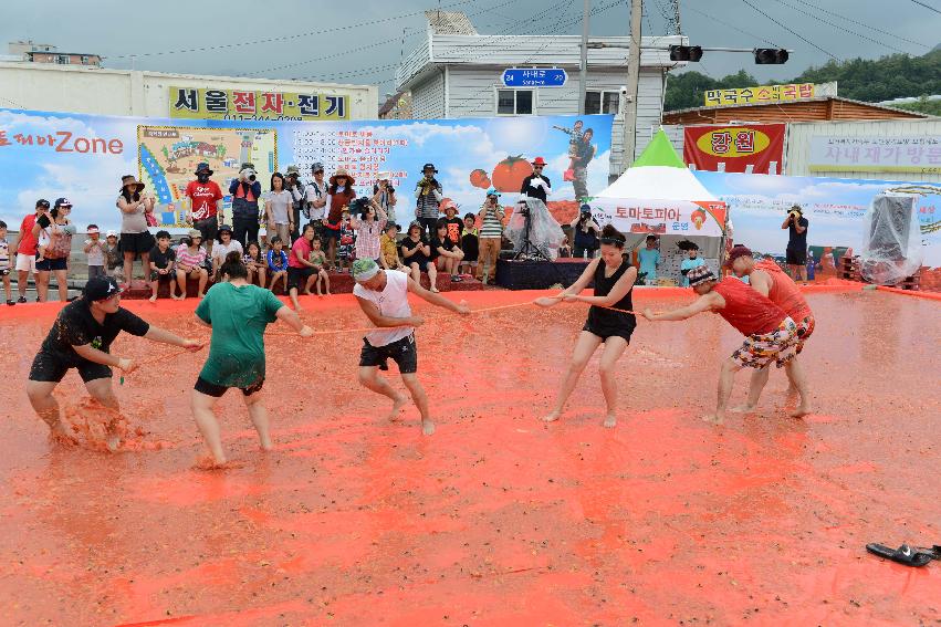 2013년 토마토축제 의 사진