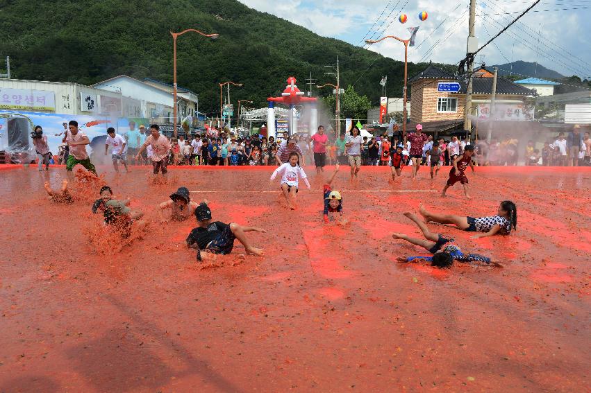 2013년 토마토축제 의 사진