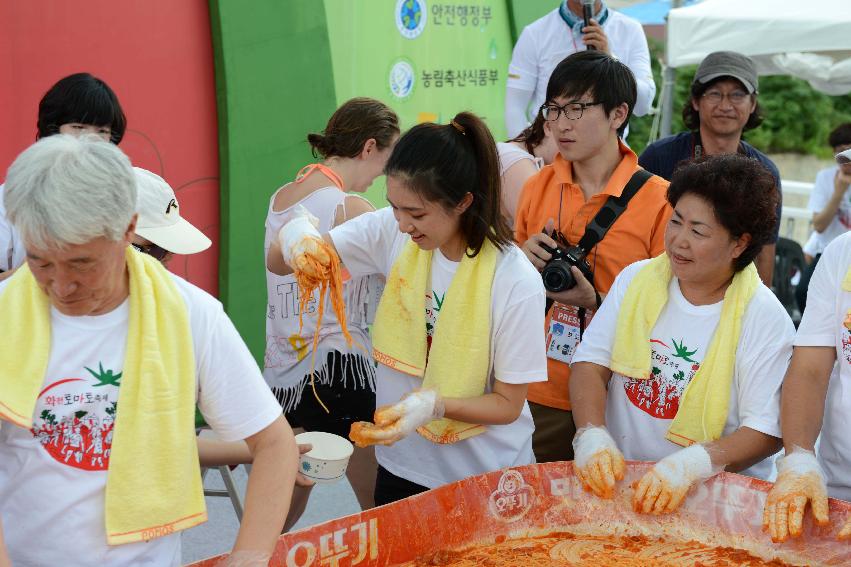 2013년 토마토축제 의 사진