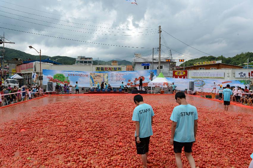 2013년 토마토축제 의 사진