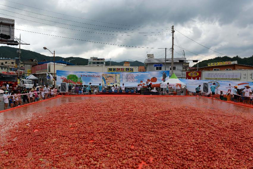 2013년 토마토축제 의 사진