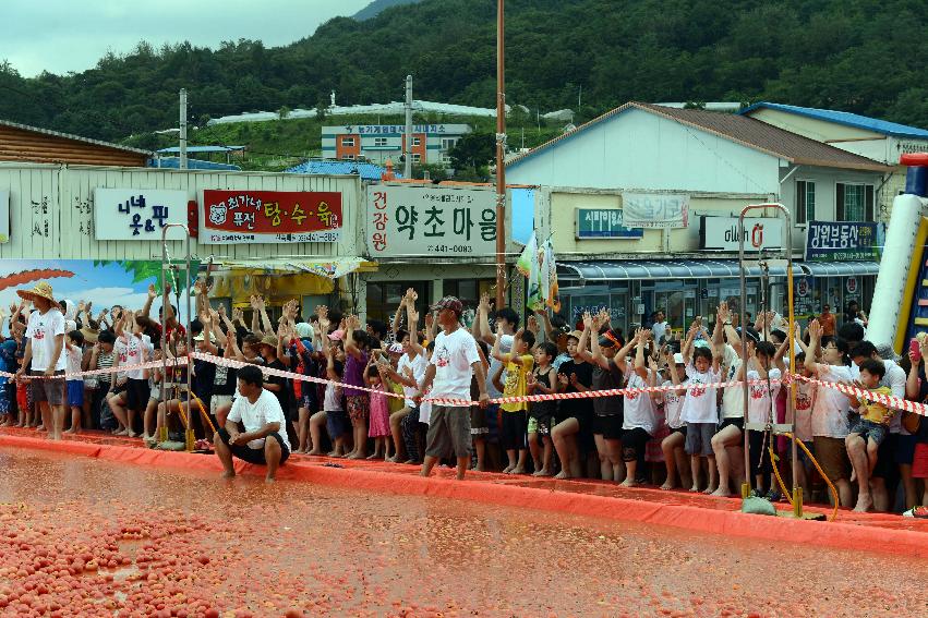 2013년 토마토축제 의 사진