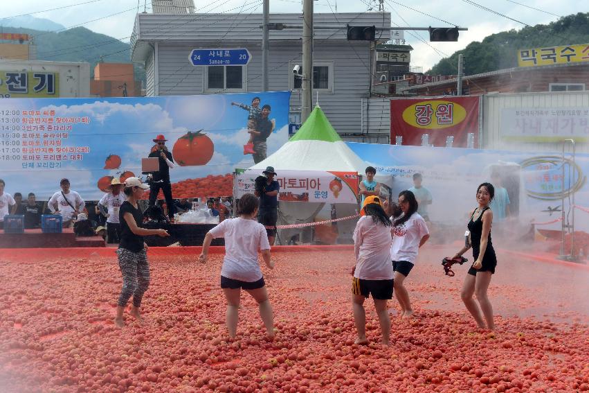 2013년 토마토축제 의 사진