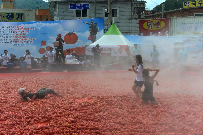 2013년 토마토축제 의 사진