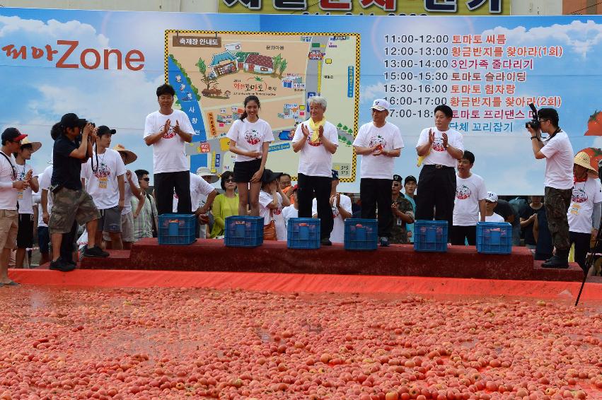 2013년 토마토축제 의 사진