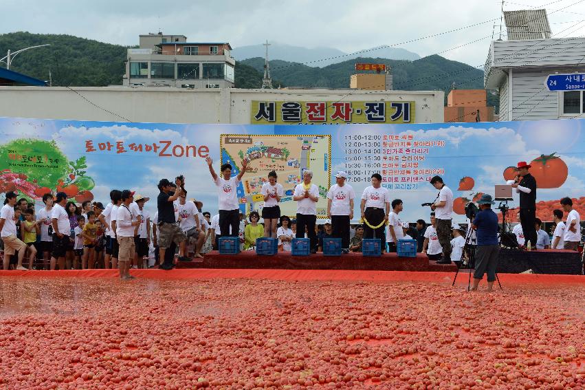 2013년 토마토축제 의 사진