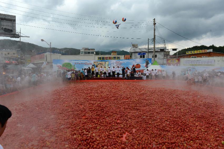 2013년 토마토축제 의 사진