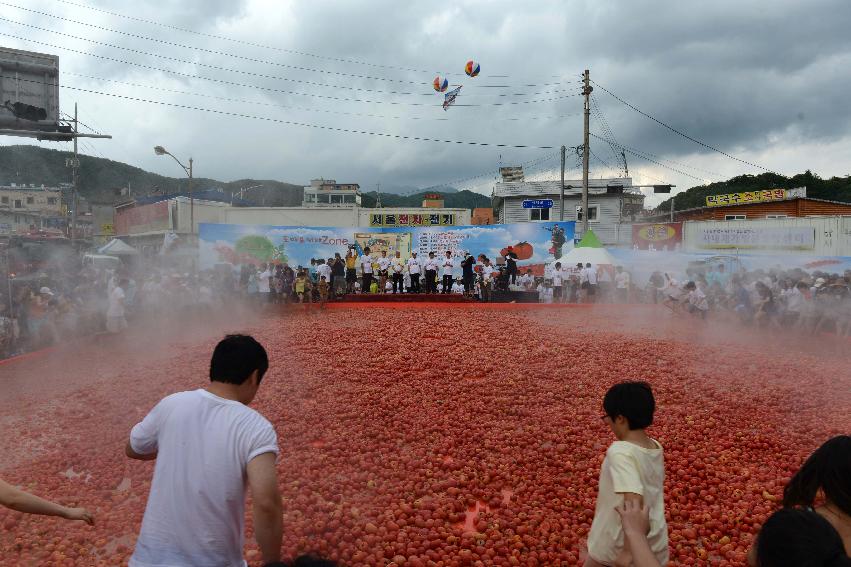 2013년 토마토축제 의 사진