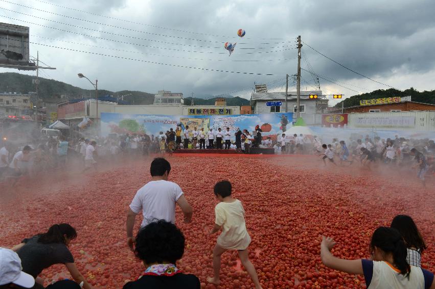 2013년 토마토축제 의 사진