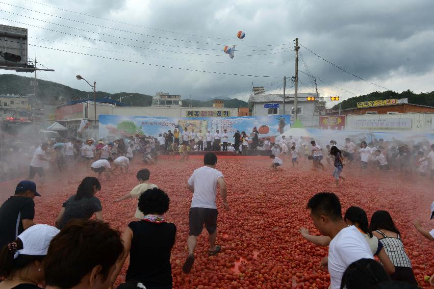 2013년 토마토축제 의 사진