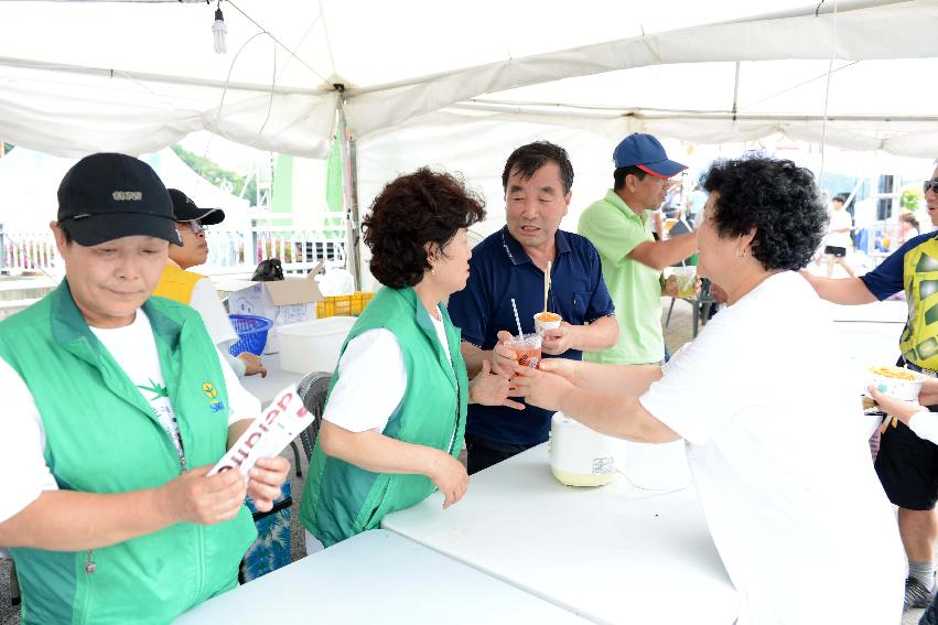 2013 토마토축제 의 사진