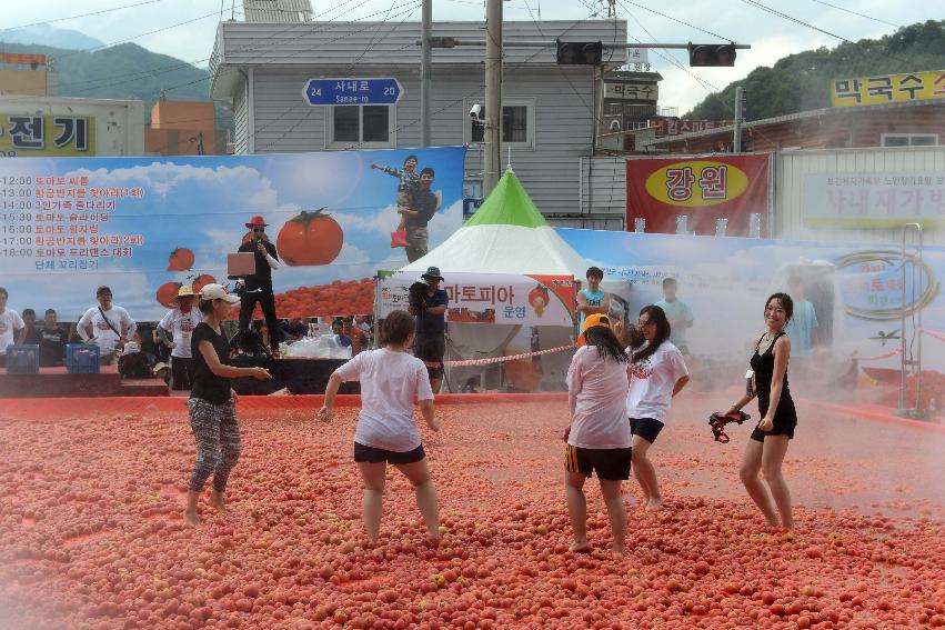 2013 토마토축제 의 사진