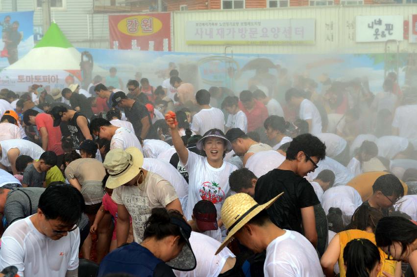 2013 토마토축제 의 사진