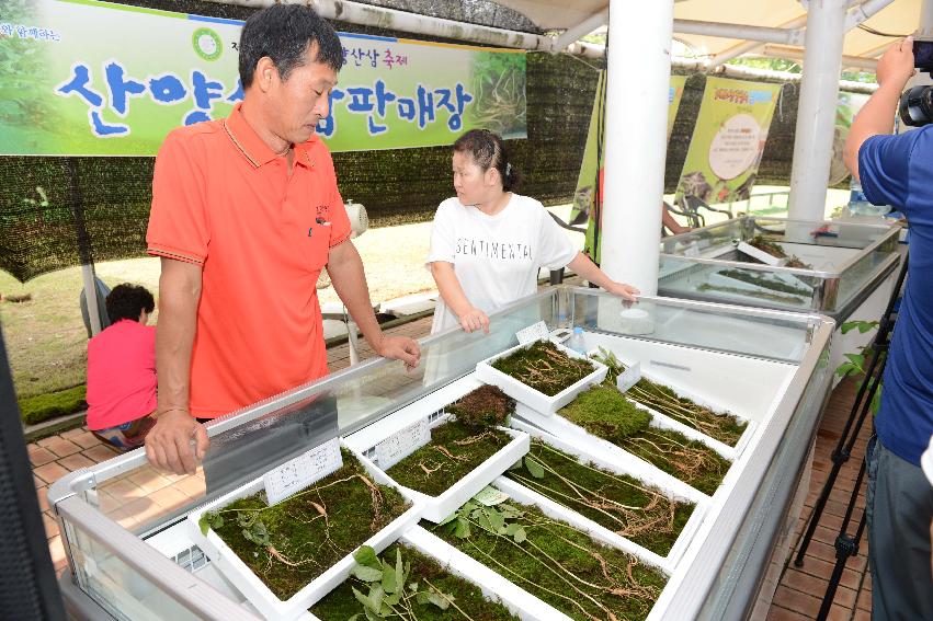 2013 산양산삼축제 떡매치기 사진