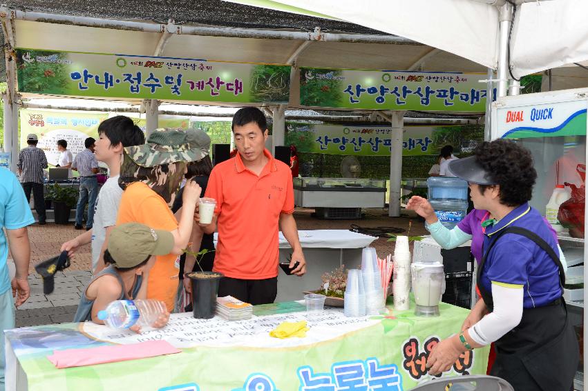 2013 산양산삼축제 떡매치기 의 사진