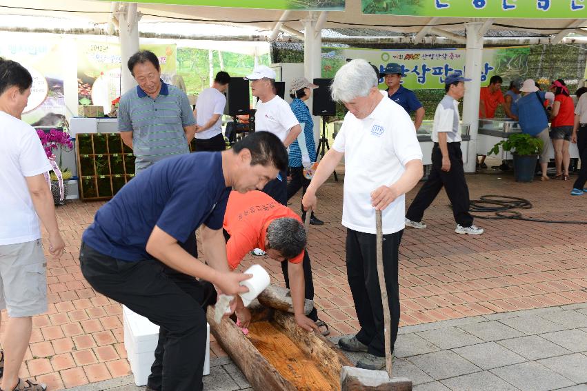 2013 산양산삼축제 떡매치기 의 사진