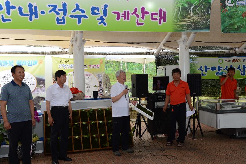 2013 산양산삼축제 떡매치기 의 사진