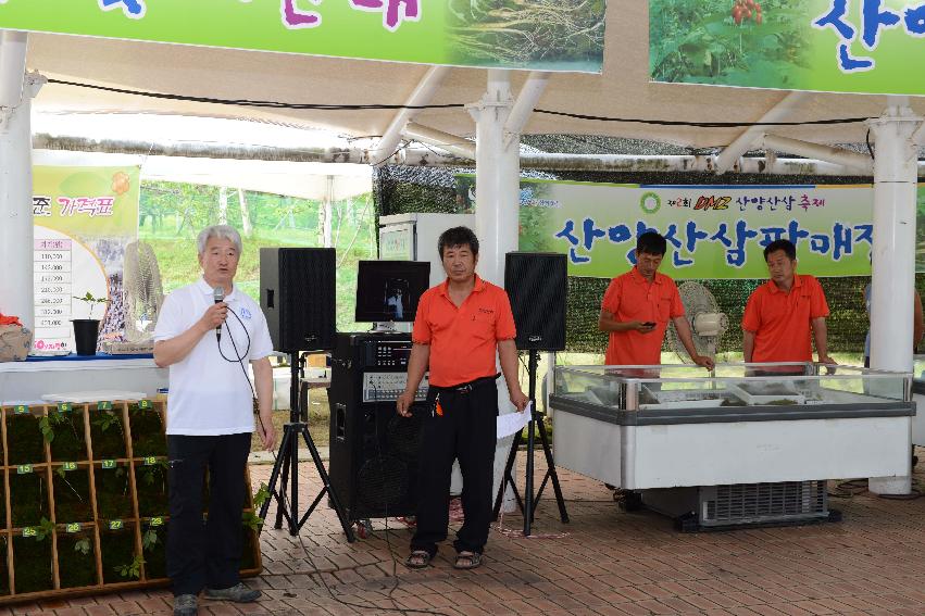 2013 산양산삼축제 떡매치기 의 사진