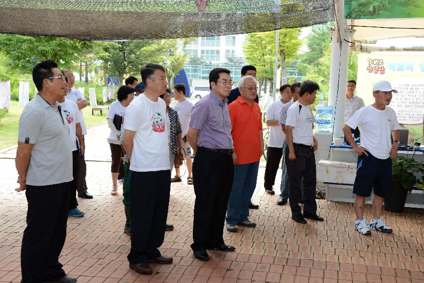 2013 산양산삼축제 떡매치기 의 사진