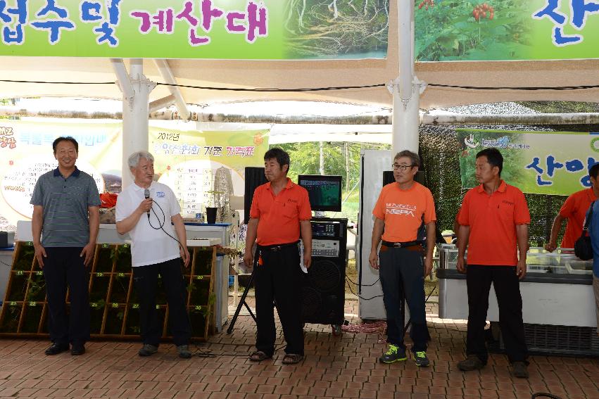 2013 산양산삼축제 떡매치기 의 사진