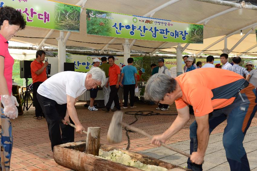 2013 산양산삼축제 떡매치기 의 사진