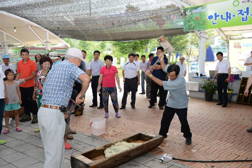 2013 산양산삼축제 떡매치기 의 사진