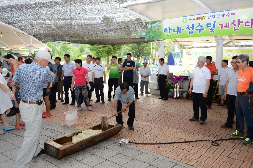 2013 산양산삼축제 떡매치기 의 사진