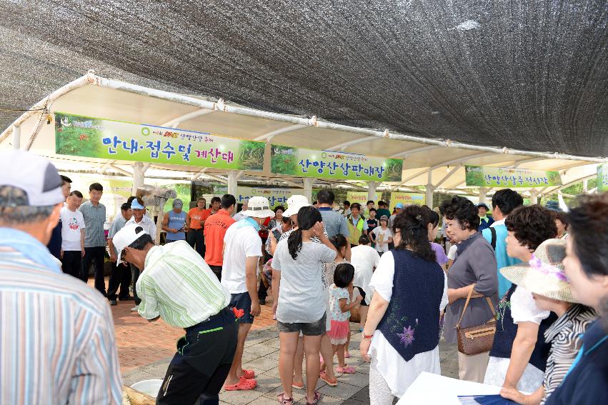 2013 산양산삼축제 떡매치기 의 사진