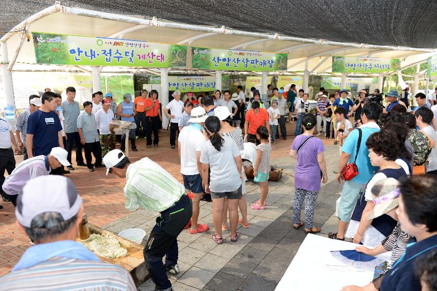 2013 산양산삼축제 떡매치기 의 사진