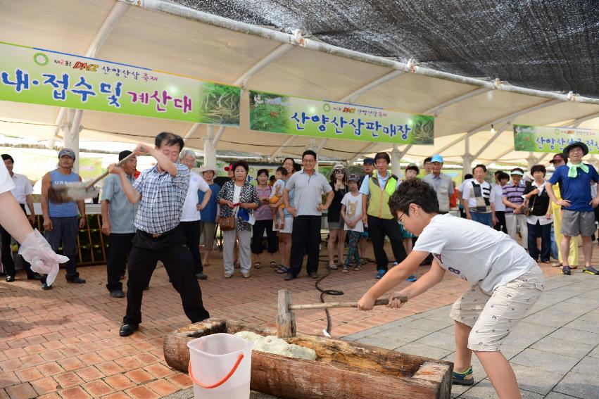 2013 산양산삼축제 떡매치기 의 사진