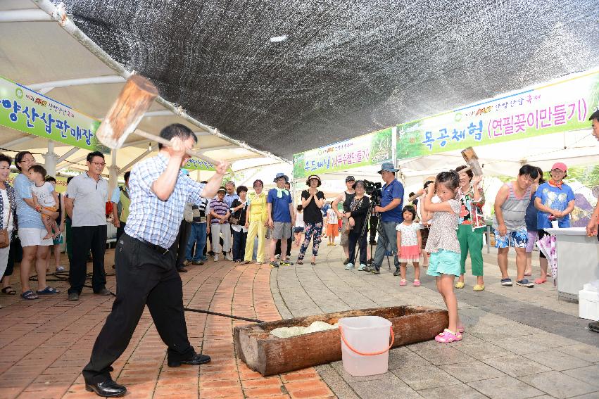 2013 산양산삼축제 떡매치기 의 사진