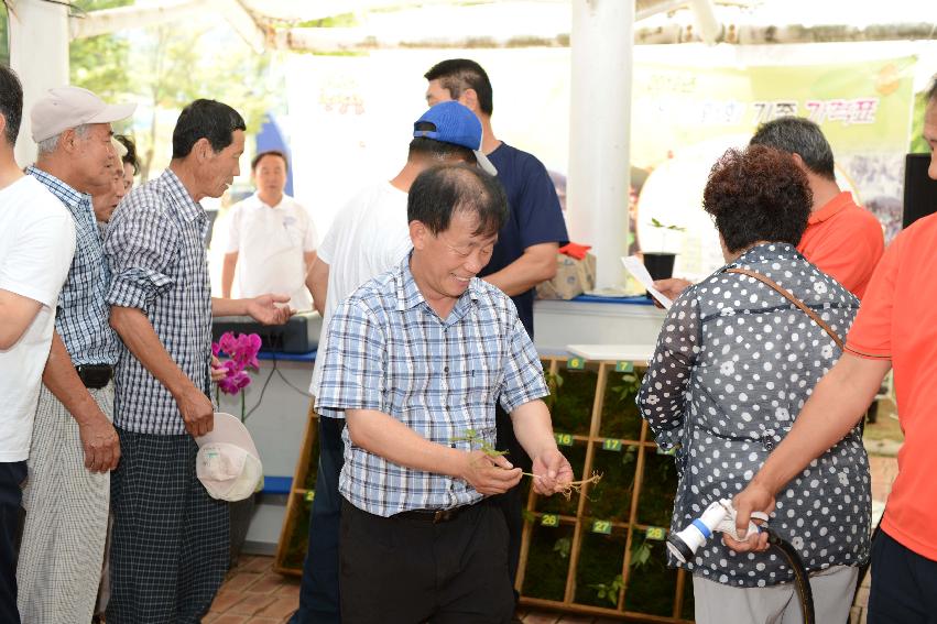 2013 산양산삼축제 떡매치기 의 사진