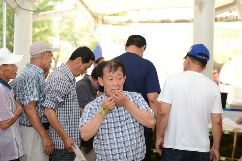 2013 산양산삼축제 떡매치기 의 사진