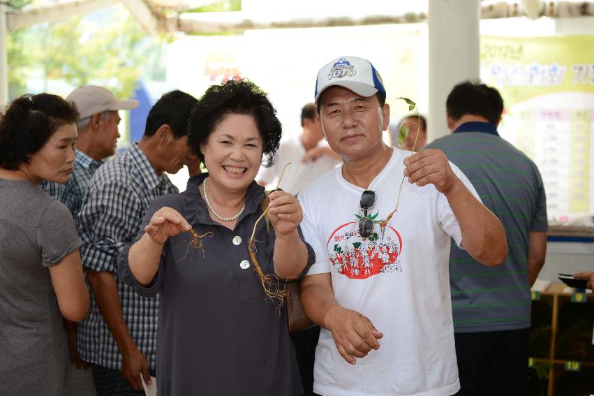 2013 산양산삼축제 떡매치기 의 사진