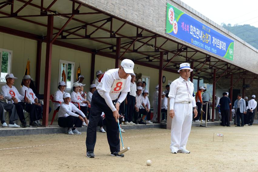 2013 제4회 화천군관내 농협기 게이트볼대회 개회식 사진