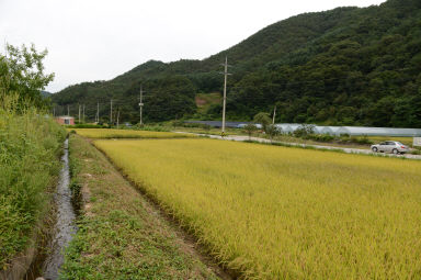 2013 화천군관내 풍경 사진