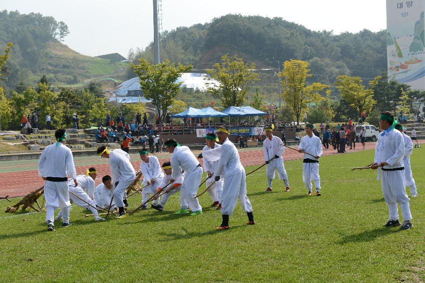 2013 용화축전 개막식 의 사진