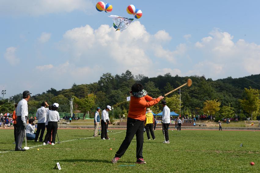 2013 용화축전 개막식 의 사진