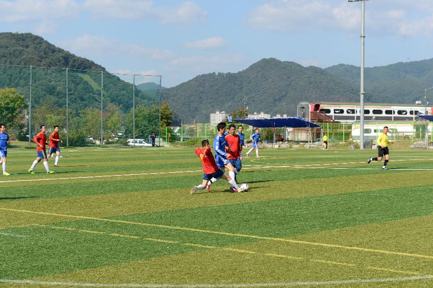 2013 용화축전 개막식 의 사진