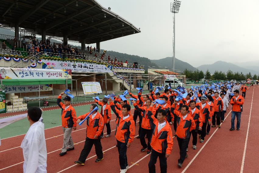 2013 용화축전 개막식 의 사진