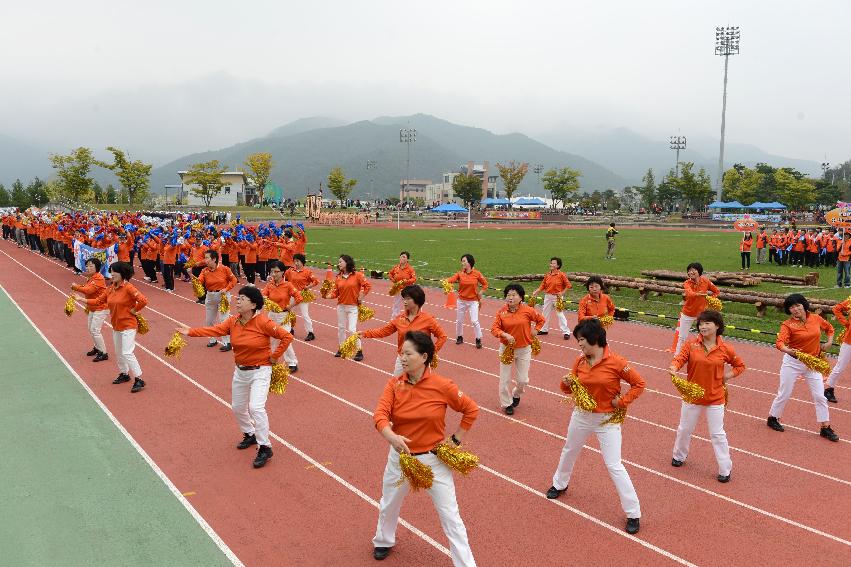 2013 용화축전 개막식 의 사진