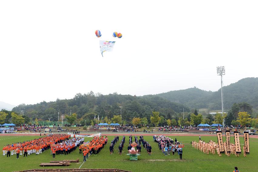 2013 용화축전 개막식 의 사진