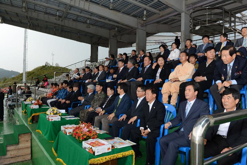 2013 용화축전 개막식 의 사진