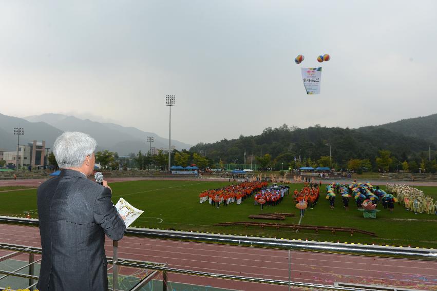 2013 용화축전 개막식 의 사진