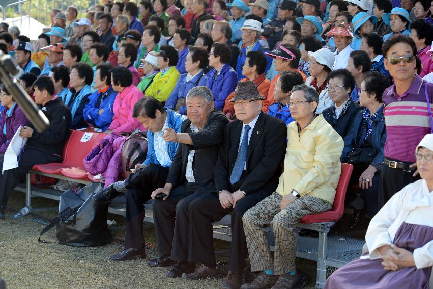 2013 한국민속에술축전 개회식 의 사진