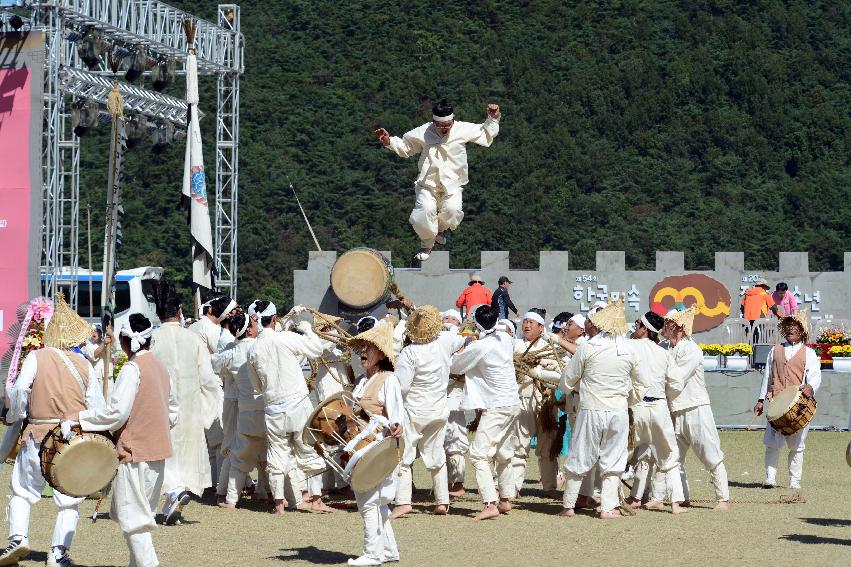 2013 한국민속에술축전 개회식 의 사진